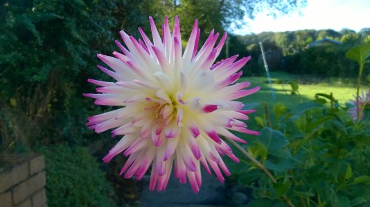 WP_20141010_010.jpg