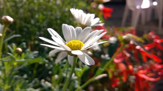 WP_20141010_014.jpg