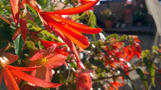 WP_20141010_015.jpg