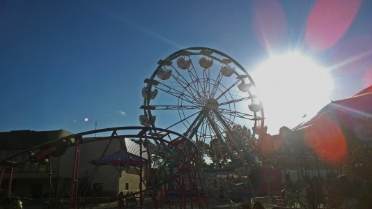Maryland State Fair 291e.jpg