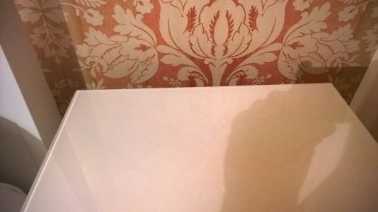 1556219_10204776719720425_7350121857874708589_o.jpg 1556219_10204776719720425_7350121857874708589_o.jpg