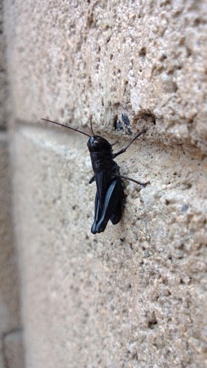 WP_20130907_006.jpg