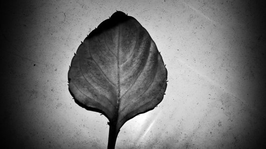 SophieLens_2014_09_06_20_58.jpg