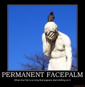 5 - perma facepalm.jpg