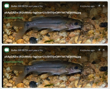 bbb.png