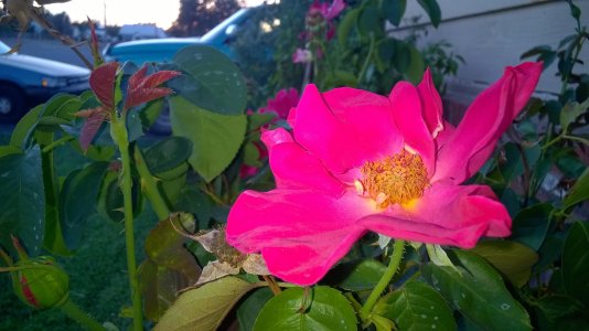 WP_20141006_006.jpg