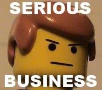 serious-business20110725-22047-xnut1q.jpg