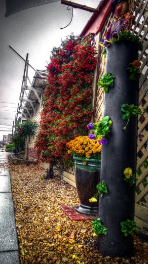 HDR_830_Fence_002.jpg