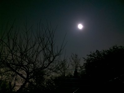 WP_20141105_20_56_49_Pro.jpg