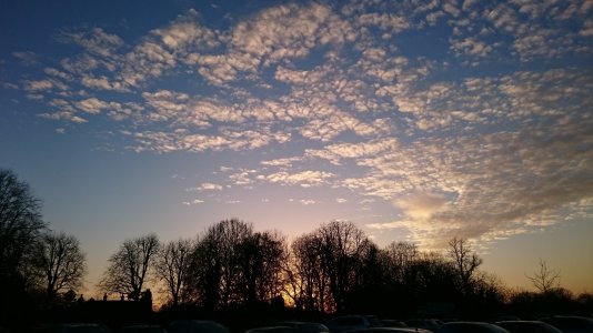 DSC_0090.JPG DSC_0090.JPG