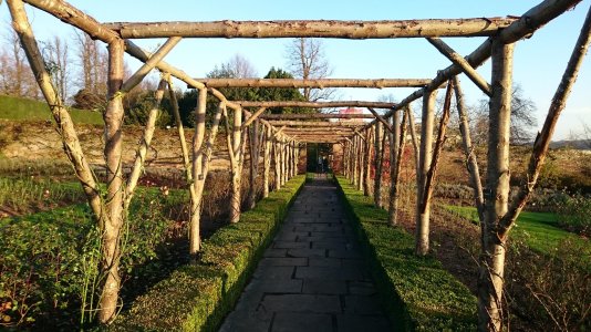 DSC_0085.jpg DSC_0085.jpg