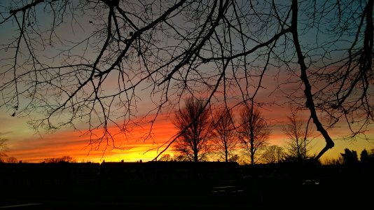 WP_20141202_16_13_33_Pro (2).jpg
