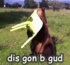 LPS4j4w.jpg LPS4j4w.jpg
