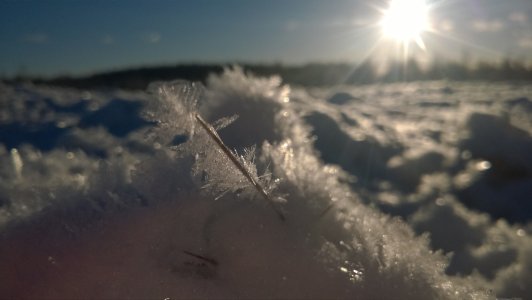 WP_20141226_13_10_59_Pro.jpg