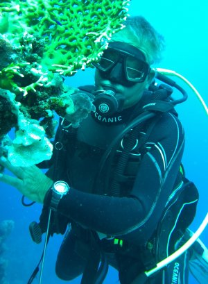 FrogFish-Large.jpg