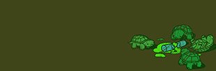 turtles.jpg