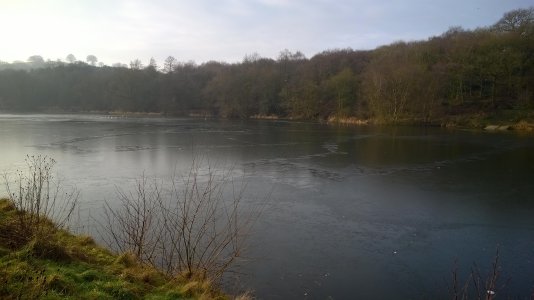 WP_20150123_002 - Copy.jpg