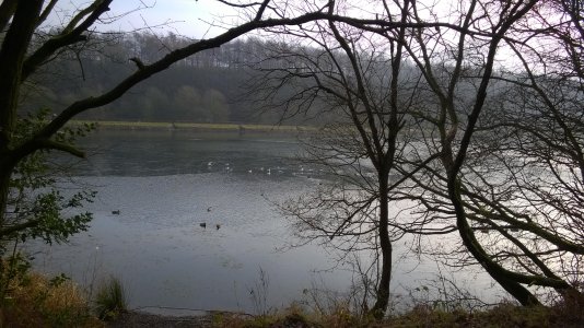 WP_20150123_009 - Copy.jpg