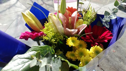 WP_20130114_058.jpg