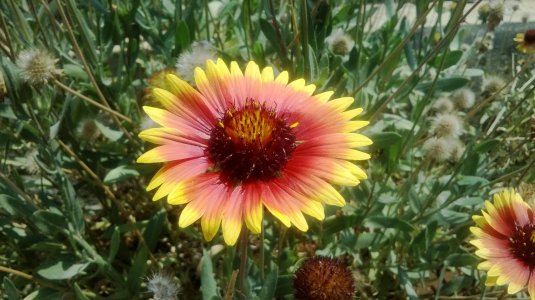 WP_20130411_008.jpg
