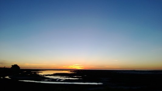 WP_20130117_016.jpg
