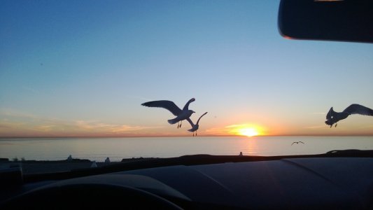WP_20130117_014.jpg