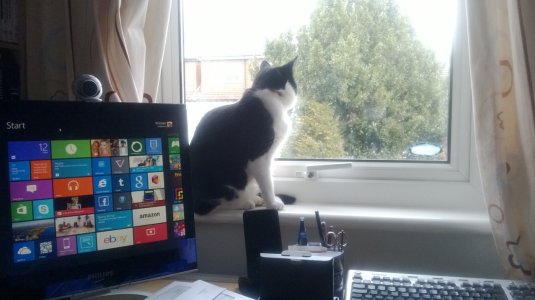 WP_20130411_002.jpg WP_20130411_002.jpg