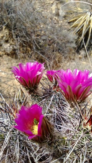 WP_20130407_010.jpg