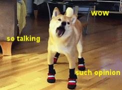 yip yip.jpg