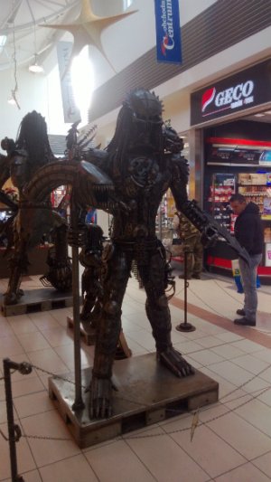 predator.jpg