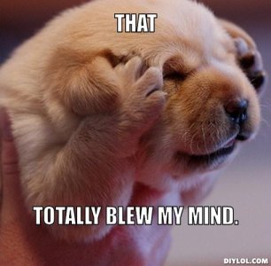 dogg-meme-generator-that-totally-blew-my-mind-17aed0.jpg