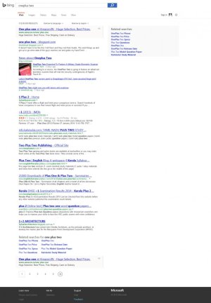 bing.jpg