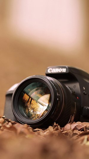 Canon-Camera-Macro-Fall-Leaves-iphone-6-wallpaper-ilikewallpaper_com.jpg