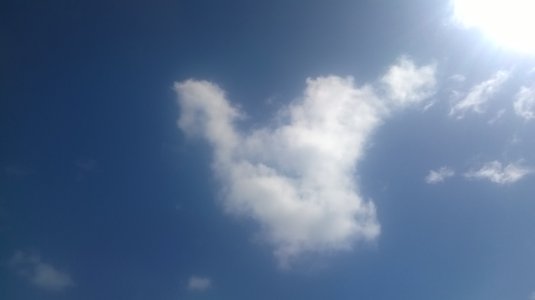 WP_20150403_10_15_34_Pro.jpg