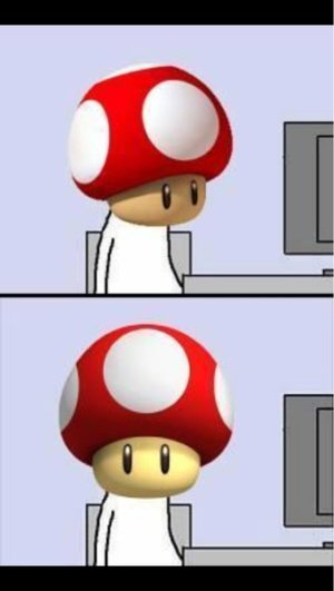mushroom wut.jpg