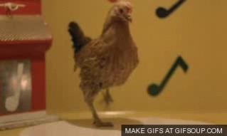 dancing-chicken-o (1).jpg
