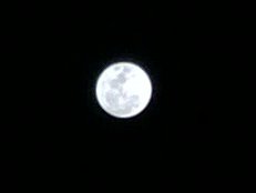 WP_20150105_20_33_30_Pro.jpg