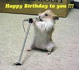 Funny-happy-birthday-quotes-1-1-.jpg