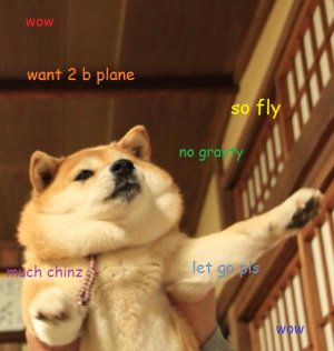 Dog Meme Plane.jpg