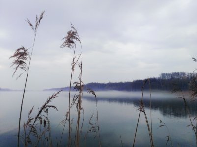 Lake.jpg