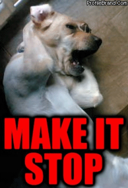 make-it-stop.gif