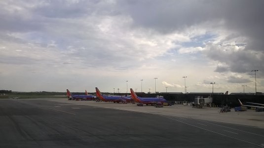 WP_20150420_006.jpg