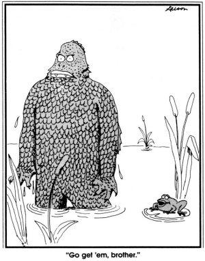 farside1.jpg