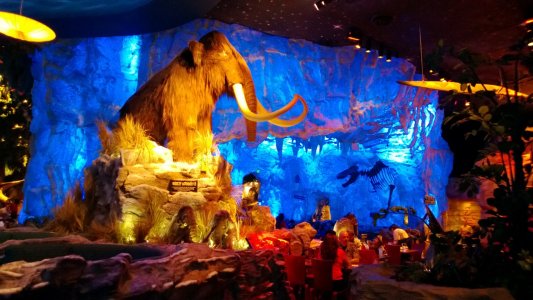 WP_20130118_009.jpg