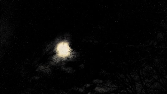 WP_000135.jpg