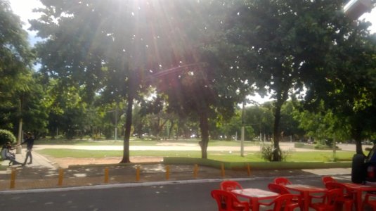 WP_20130413_002.jpg
