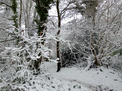 WP_20130118_018.jpg
