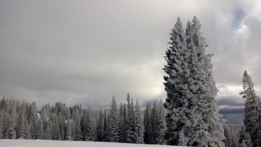 WP_20130112_027.jpg