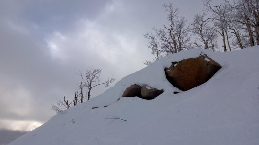 WP_20130112_020.jpg