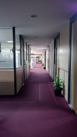 WP_20130116_042.jpg